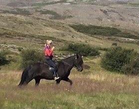 Rider on horseback crossing an open Icelandic hillside on a clear day